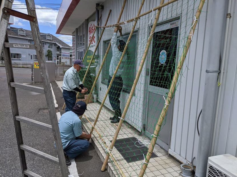 グリーンカーテン設置