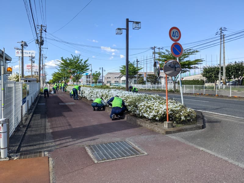 つつじ満開