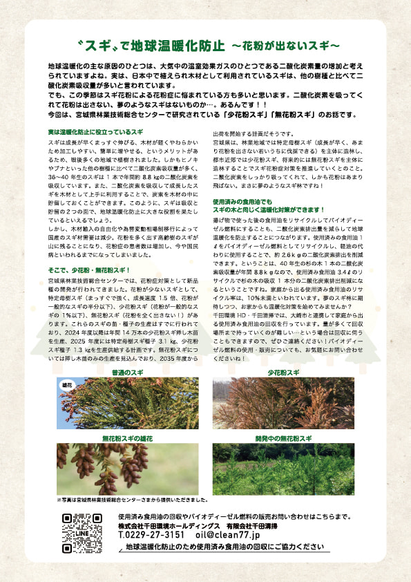 2025年3月号表面
